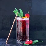 خرید و قیمت لیوان بلند پاشاباغچه مدل الیسا elysia-520015