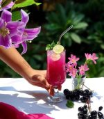 خرید و قیمت گیلاس تولیپ پاشاباغچه TULIPE-44169