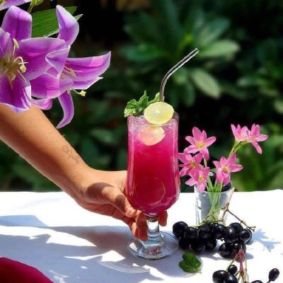 خرید و قیمت گیلاس تولیپ پاشاباغچه TULIPE-44169