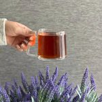 خرید و قیمت ماگ دسته دار دلی گلس مدل TOROYDAL