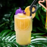 خرید و قیمت لیوان هیل پاشاباغچه فیروزه ای HILL