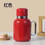 خرید و قیمت مینی فلاسک استیل رنگی وارداتی