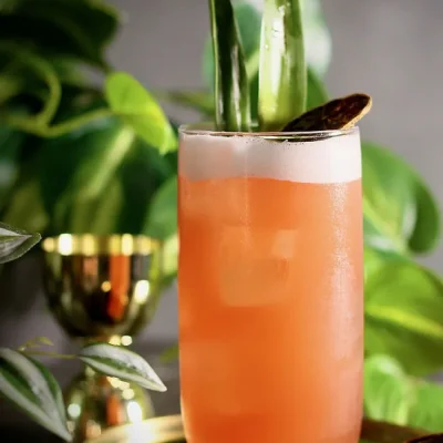 خرید و قیمت لیوان بلند آیکونیک برند پاشاباغچه ICONIC-420805